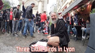 Three little birds in Lyon Ajax [upl. by Aitnuahs486]