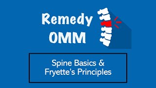 Spine Basics amp Fryettes Principles  Remedy OMM [upl. by Ydnas]