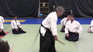 T Miyamoto Shihan Birankai Summer Camp 2015  Shomenuchi Nikyo [upl. by Tonina711]