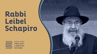 Vol 23  Chukas 1  Rabbi Leib Schapiro [upl. by Ennaesor]