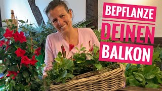 BALKONKASTEN BEPFLANZEN für Sonne  Dekotipps zum bepflanzen DIY SommerBepflanzung [upl. by Yemorej]