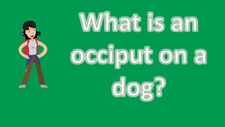 What is an occiput on a dog   Most Rated Health FAQ Channel [upl. by Rozella]