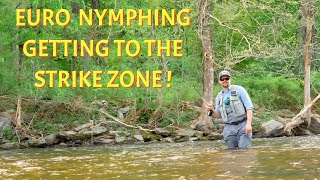 Getting Flies to Strike Zone  Euro Nymphing Techniques [upl. by Winne313]