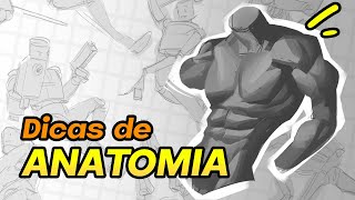 Guia de ESTUDO de ANATOMIA para ilustradores  💪💪 [upl. by Jon]