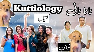 New name of Sistrology is KUTTIOLOGYIqra Kanwal baby girliqrakanwal9578 [upl. by Darla701]