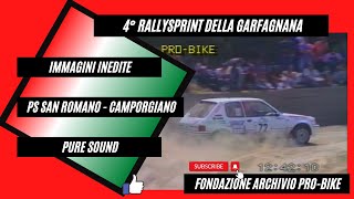 Rallysprint della Garfagnana 1991 Ps San RomanoCamporgiano Crash amp Show [upl. by Harmony]