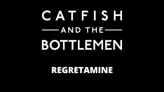 CATFISH AND THE BOTTLEMEN  REGRETAMINE [upl. by Strait]