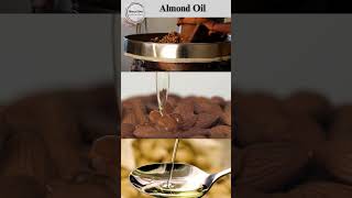 Almond Oil foryou hunzagilgitbaltistan youtubeshorts gilgitheavenonearth food [upl. by Ellenod321]