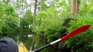 Spreewald Paddeltour 5 Tage mit vielen Schleusen Schleusern und Nutria [upl. by Larsen]