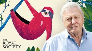 Why is biodiversity important  with Sir David Attenborough  The Royal Society [upl. by Enirehtacyram]