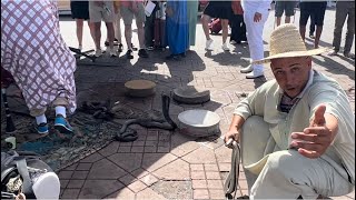 SHOCKING VIEWS IN MARRAKECH MARKET MOROCCO 🇲🇦 [upl. by Marianna]