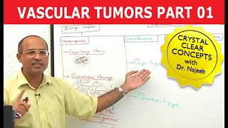 Vascular Tumors part 1 [upl. by Earised200]