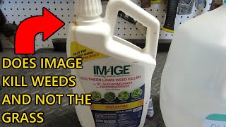 Image Herbicide Southern Lawn Weed Killer Review [upl. by Einolem192]