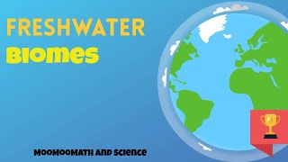 Freshwater Biomes [upl. by Nevag]