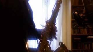 Selmer Reference 36 vs Yanagisawa T901 Tenor Sax [upl. by Antonie]