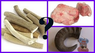 BEST DOG TOYS FOR HEAVY CHEWERS Soup Bone vs Bully Horn vs Antler [upl. by Iahs]