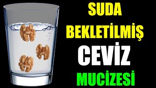 SUDA BEKLETİLMİŞ CEVİZ MUCİZESİ [upl. by Juliet]