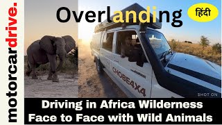 EP 7  India Overlanding Africa Jungles  Nxai Pan National Park  SelfDrive Safari  Wild Botswana [upl. by Greenleaf150]