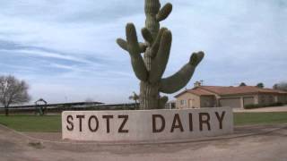 Stotz Dairy [upl. by Mcnutt]