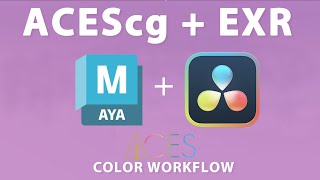 Da Vinci Resolve and Maya ACEScg and EXR workflow  the easiest way [upl. by Ecirtnahs872]