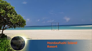 Hondaafushi Island Resort [upl. by Guntar]