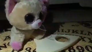 REUPLOAD Beanie Boos SCARIEST Beanie Boo Video EVER [upl. by Haney]