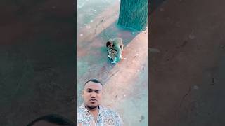 Dbachwo hamka dandi lagat bache 🐒🐒🐒shortvideo [upl. by Ermina800]