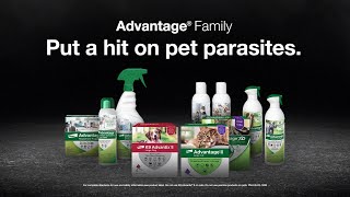 How to Get Away with Flea Murder with The Advantage® Family [upl. by Otti]