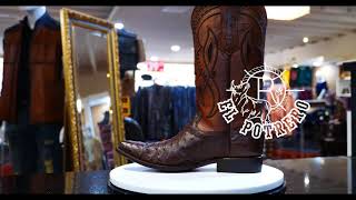 Bota Cuadra Avestruz Everest Chocolate [upl. by Auqinahs]