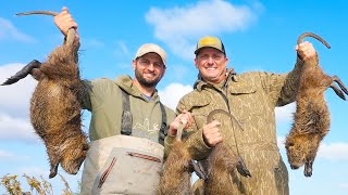 Hunting Massive Marsh Rats from a boat Catch Clean Cook Cajun Rat Rolls [upl. by Ainatnas133]