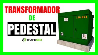 🔥CARACTERISTICAS de los TRANSFORMADORES de TIPO PEDESTAL 🔥PAD MOUNTED [upl. by Minsat]