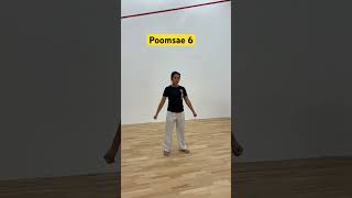 Poomsae 6 Practice poomsae taekwondo [upl. by Ahsot]