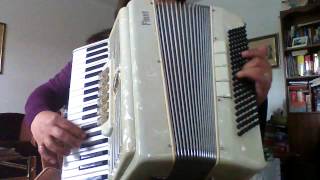 Finzi Accordion 120 bass Made in Italy [upl. by Gillman]