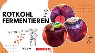 Rotkohl fermentieren [upl. by Adanar]