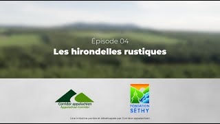 Les Montages Vertes du Nord  Épisode 04  Les Hirondelles rustiques [upl. by Ttnerb975]