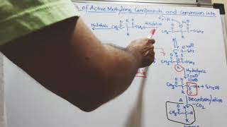 Alkylation of active methylene compounds and conversion into Ketones [upl. by Tannen258]