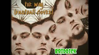 briddick  the way fastball cover [upl. by Aluk]