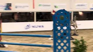 Nevada W  Dallas VDL x Nijinski  Nationaal Indoor Salland Marienheem [upl. by Coveney]