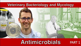 Antimicrobials Part 1  Veterinary Bacteriology and Mycology [upl. by Sellig]