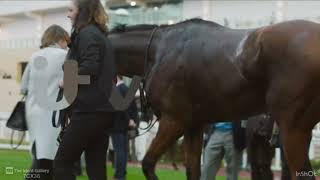 ITV  Horse Racing Idents  2017 [upl. by Melba93]