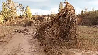 Río turia en Pedralba semanas después de la riada zona la playa [upl. by Eissim]