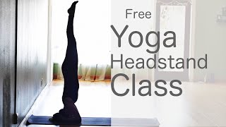 50 Minute Yoga Flow Vinyasa How to do a headstand  Fightmaster Yoga Videos [upl. by Brittaney]