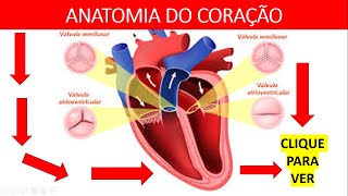 Anatomia do Coração  Aula de Anatomia Enfermagem [upl. by Stodder]