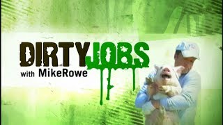 Dirty Jobs  Episode 1 Bat Cave Scavenger [upl. by Keely]