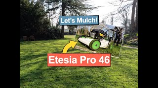 Etesia Pro 46 Mulching a Large Lawn [upl. by Alim599]