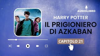 21 Harry Potter e IL PRIGIONIERO DI AZKABAN volume 3 Audiolibro  IL SEGRETO DI HERMIONE [upl. by Dysart525]