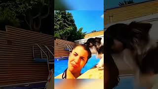 cat dog dogs cut cute love lovecats lovedogs funny virla viralvideo foryou foryoupage [upl. by Aric]