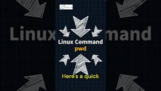 Master the pwd command in Linux  🖥️ linuxadministrator programming linuxguides [upl. by Phalan]