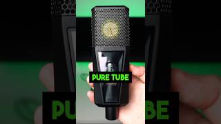 LEWITT PURE TUBE The PERFECT Mic For SINGERS And VOICE ACTORS [upl. by Larimor]