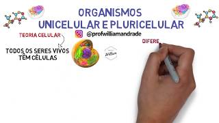 Resumo Organismos Unicelulares e Pluricelulares Multicelulares  Ciências com William [upl. by Joselyn]